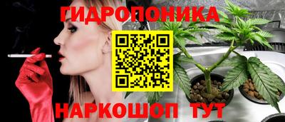 гашиш Жуковский